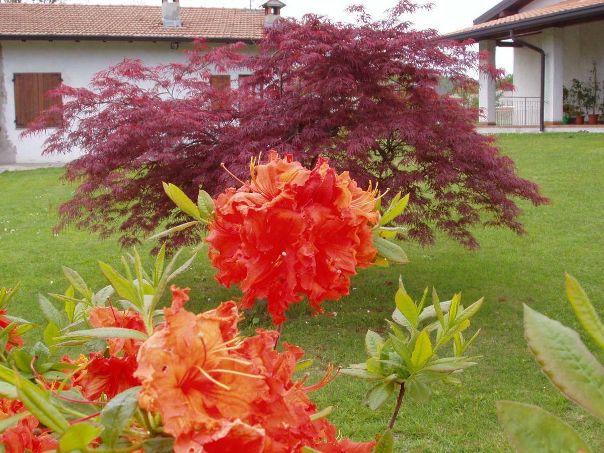 La Casetta Pombia ภายนอก รูปภาพ
