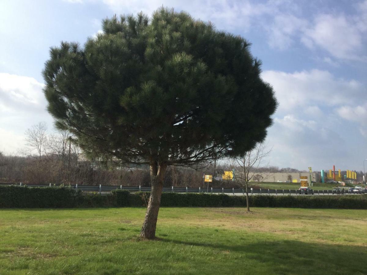 La Casetta Pombia ภายนอก รูปภาพ